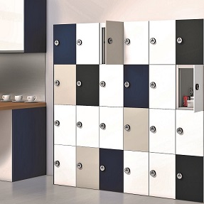 BUZZBOX Satin Finish Lockers