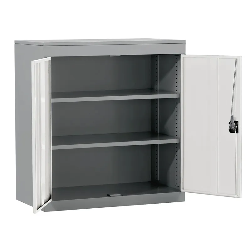 Probe LOW Security Cupboard 2 Shelves